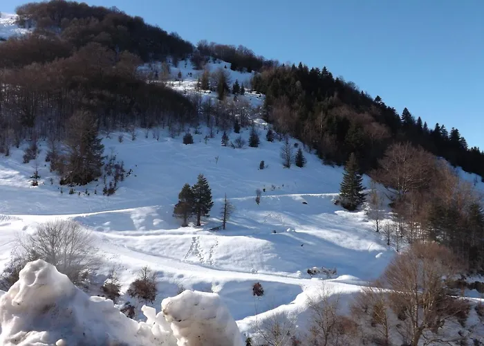 Guzet Neige 1400 우스투